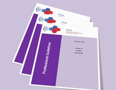 Professional Guidelines